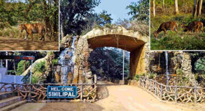 Simlipal-National-Park