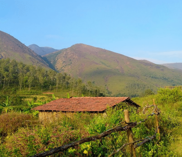 deomali-koraput-odisha