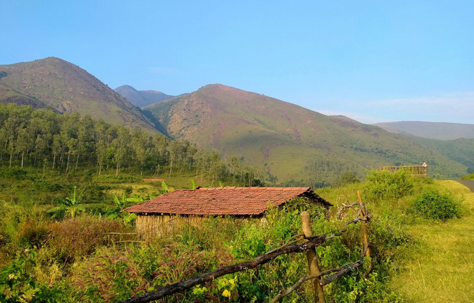 deomali-koraput-odisha