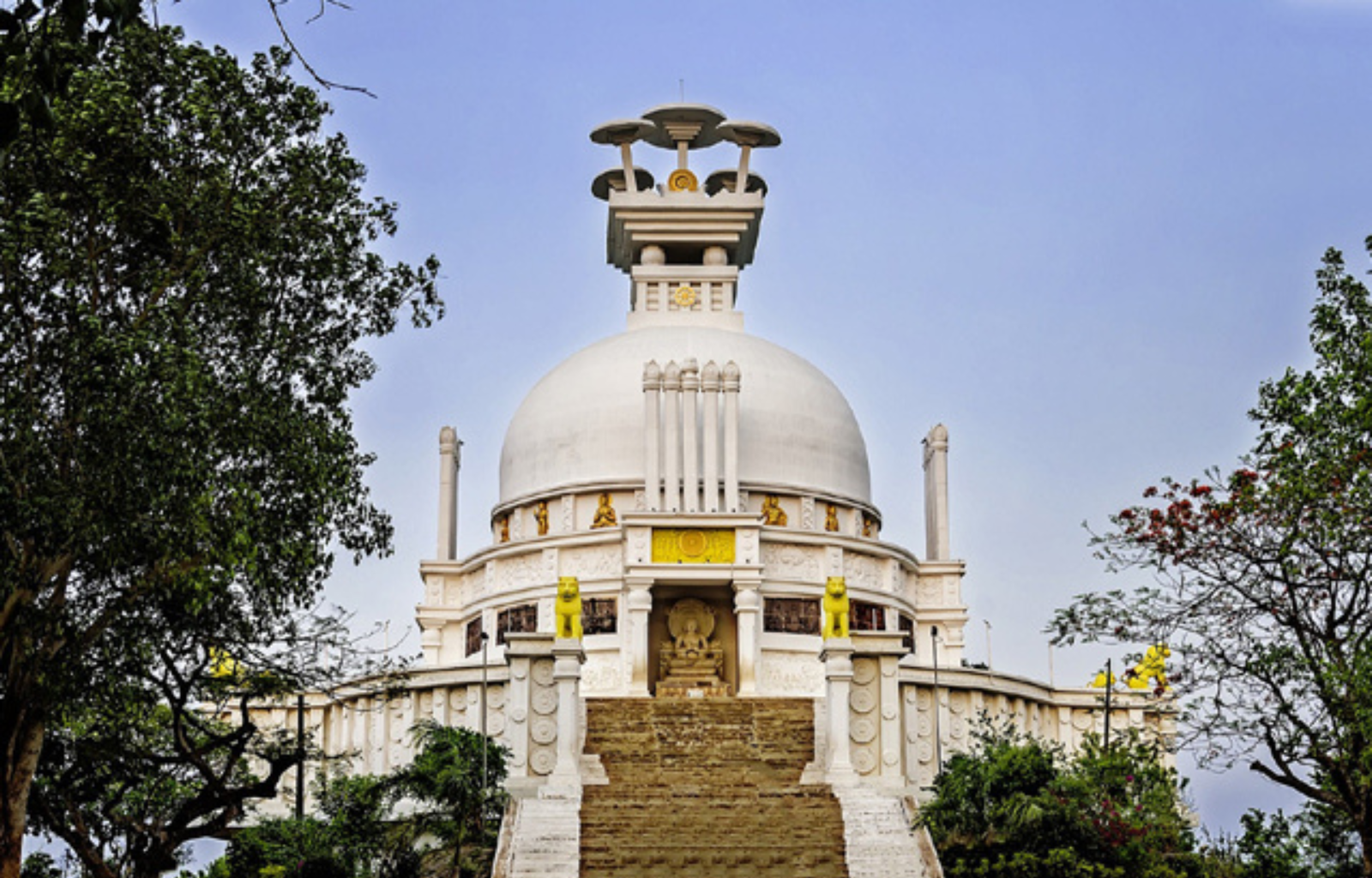 dhauli